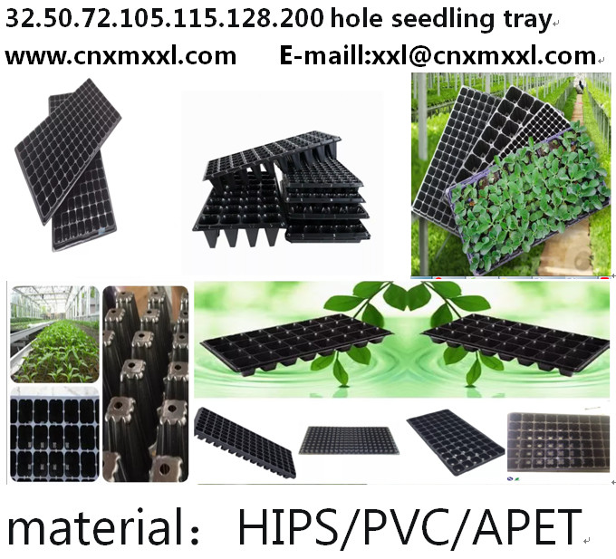 fraise d'usine de mangue des prix de Tray Plastic Seeding Tray Low de pépinière de 72 cellules semant les plateaux 5